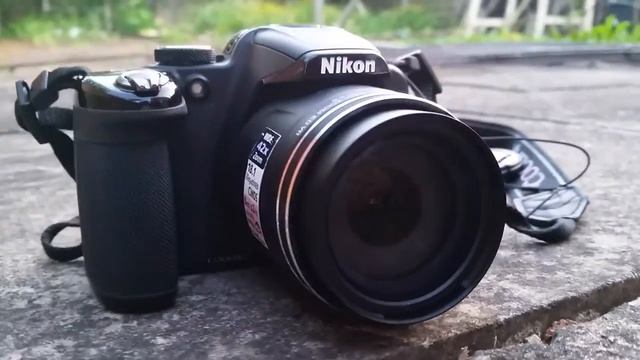 Nikon P520