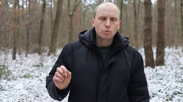 Як пише звук Canon RP (без обробки)