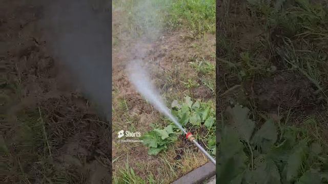 Аппарат высокого давления