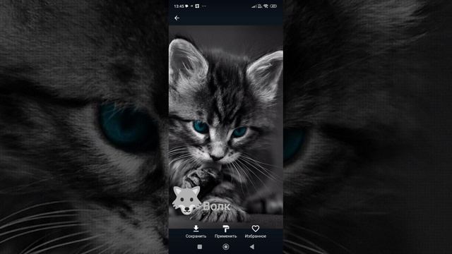 2def45b6ad8d57e15ca83cc60a2d74cb