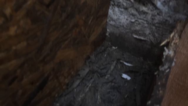 38d38ca6a43d0f82a8d38c475305490b