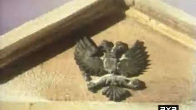 Мультфильм  Ванька Жуков  КИЕВНАУЧФИЛЬМ, 1981 г.mp4