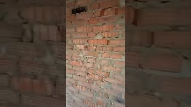 C2769e35f336d0e6c6e660cbe55851d0