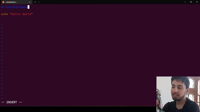 Introduction To Bash Scripting - Shebang, Echo, Programs, Process