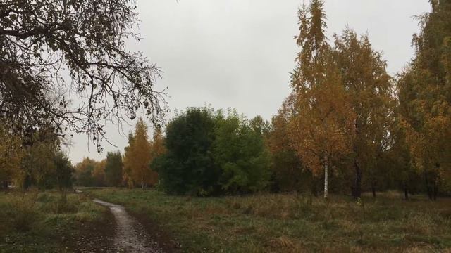2017-10-13 ПР.Хмурая осень-2017 в  Москве