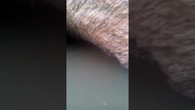 31 июля 2015 г.