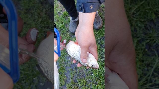 0656ff96c746799cf3e2e916c4632f31