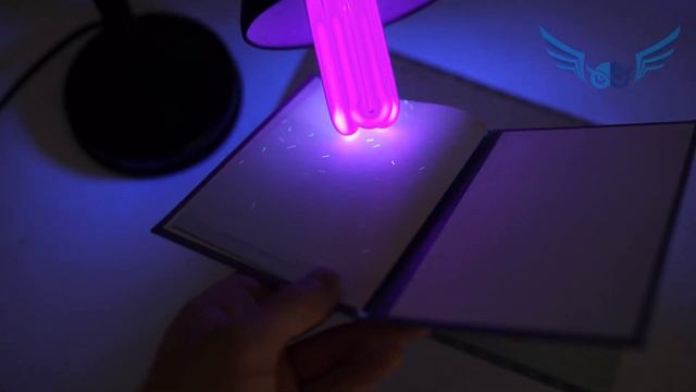 Кулинарные удивительности