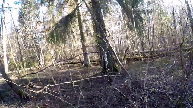 Юрмала. Отдых на природе