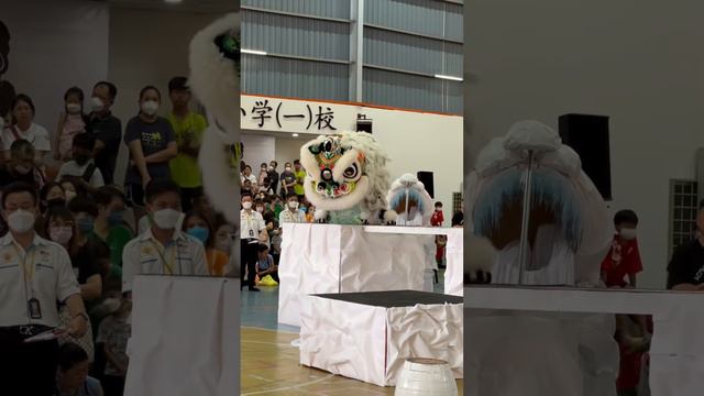 Lion Dance - Catching Fish. Lion Dance Is A Traditional Form Of Chinese Culture In Asian Countries.