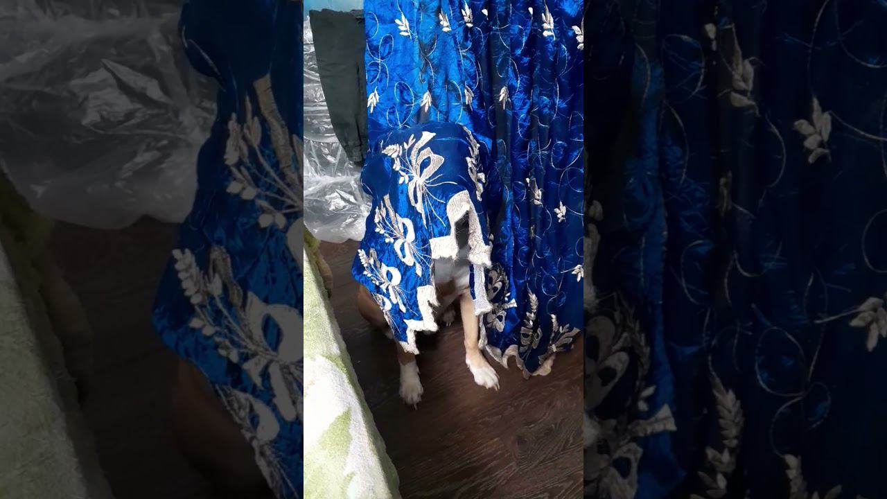 Амстаф Брат Чудит)))