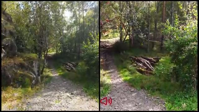 DJI OSMO ACTION 4 Vs SONY ZV-1 | Best Allround Vlogging Camera For Content Creators