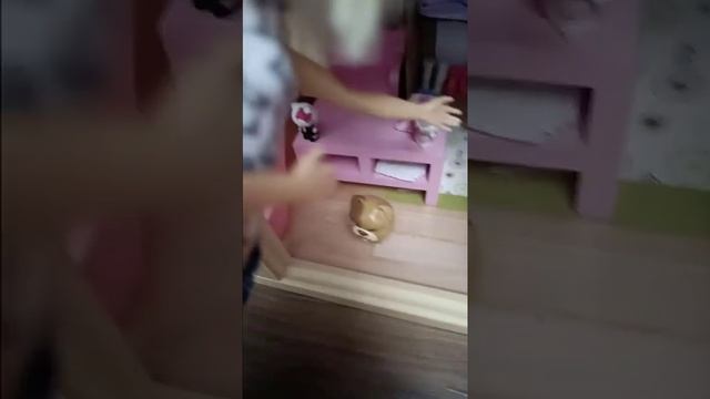 Кукольный дом