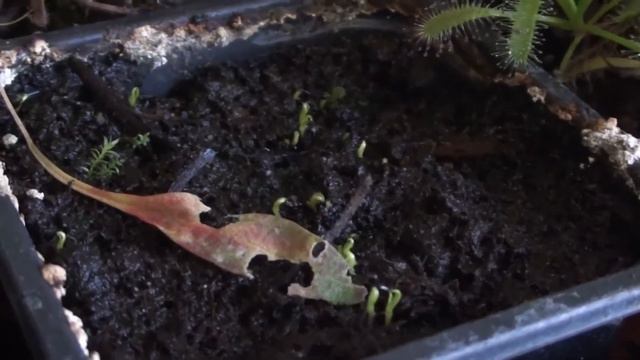 81355cabea14ea1c712a5a96a7752bb2