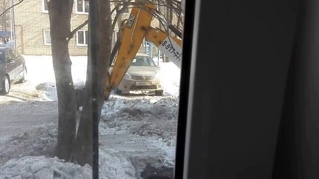 049f49e25d1ed555653cab1c80208889