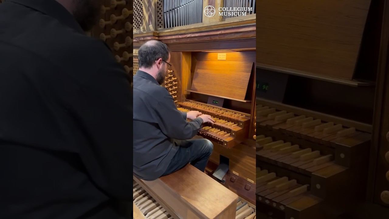 Фрагмент И. С. Бах. Токката и фуга ре минор. Исполняет Даниэль Сальвадор.