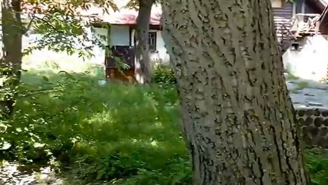 Продам дом 100кв.м.с.Сингуры Житом.обл.47000$