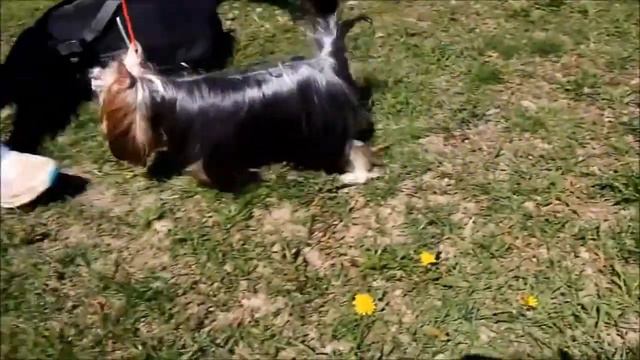 RODISLAV Iz Rossiiskoi Imperii