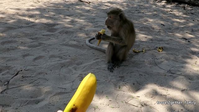 B7da322627bf109699e6a09e6bcdfa61