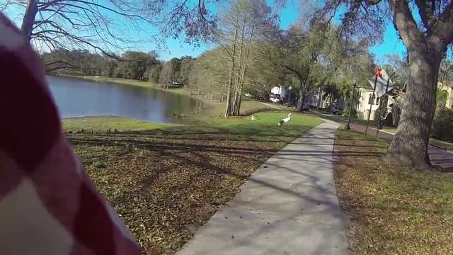 4b04e75841e29f2d712ff81fccfaa290