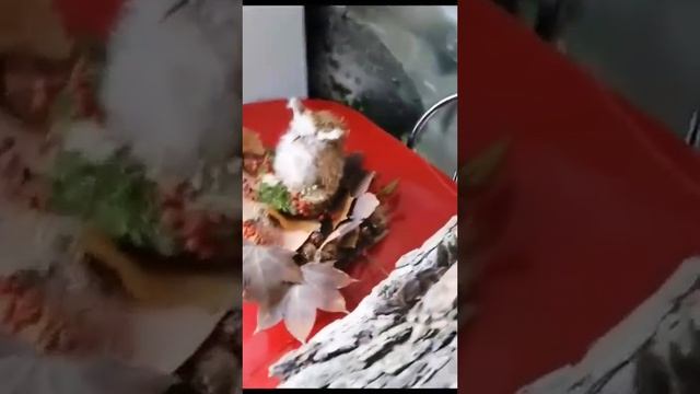 Поделки из чистого природного материала на выставку ЭКО-марафона: 