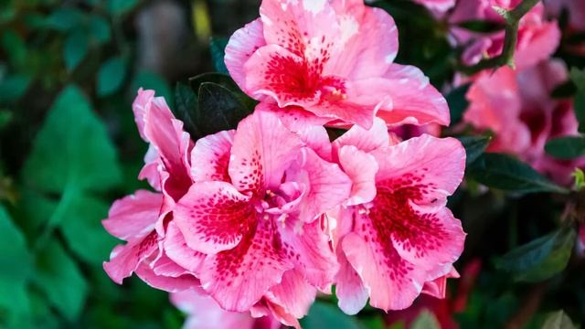 Истории из жизни. Жизненные истории. Интересные истории. Душевные истории. Увлекательные истории.