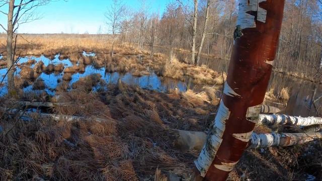 Первая рыбалка в сезоне на спиннинг.