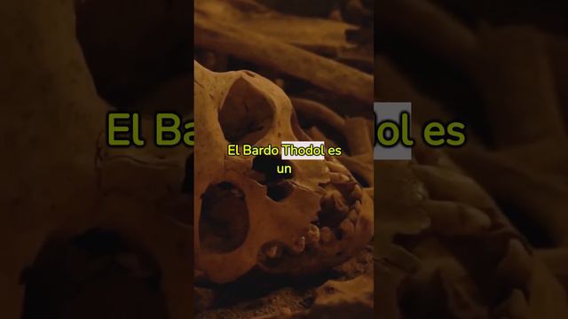 El LIBRO De Los MUERTOS Bar DO'I Thos GROL #miedo #historia #budismo  #vidadespuesdelamuerte #dios