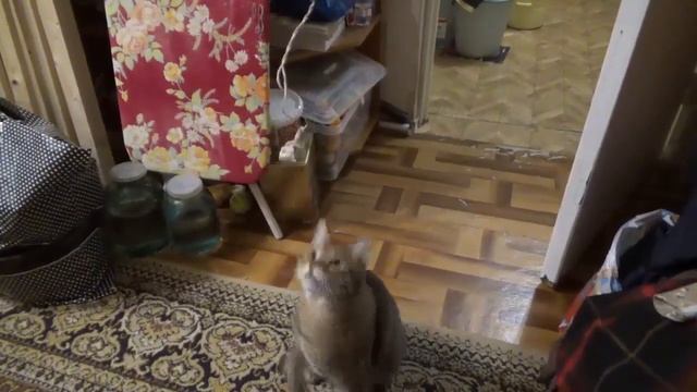 Fcfa7b684096f883a2d039dfa7d54881