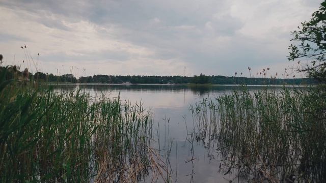 Радость Нового года