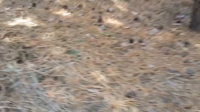 124dfa2fad45ba06549c5643e554f075