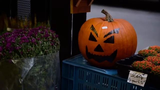 1936b4b862bcb8f06a27a0a78918580c