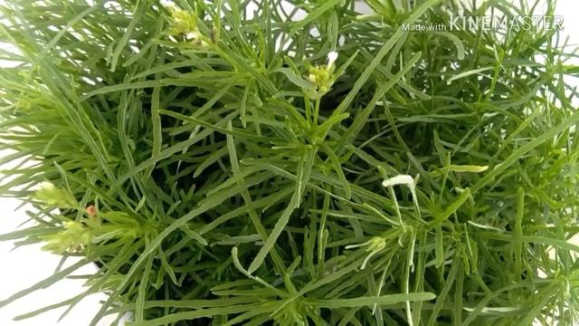 3f88a152c0bf33c00acf5d361921ee7a