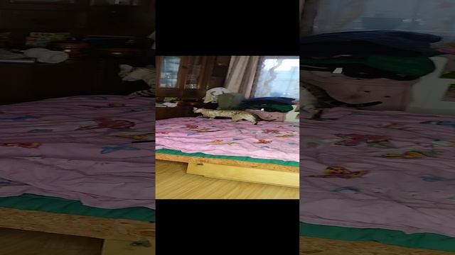 716da47caa43d0e83ae31cb12319e4ff