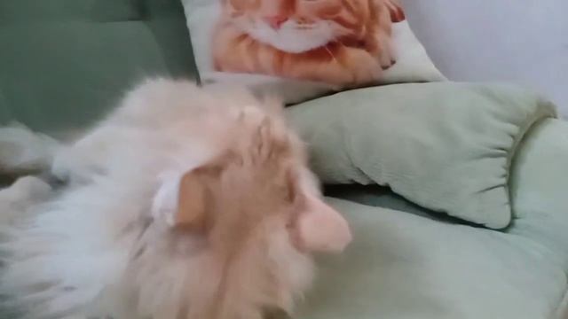 искусственные деревья в наличии