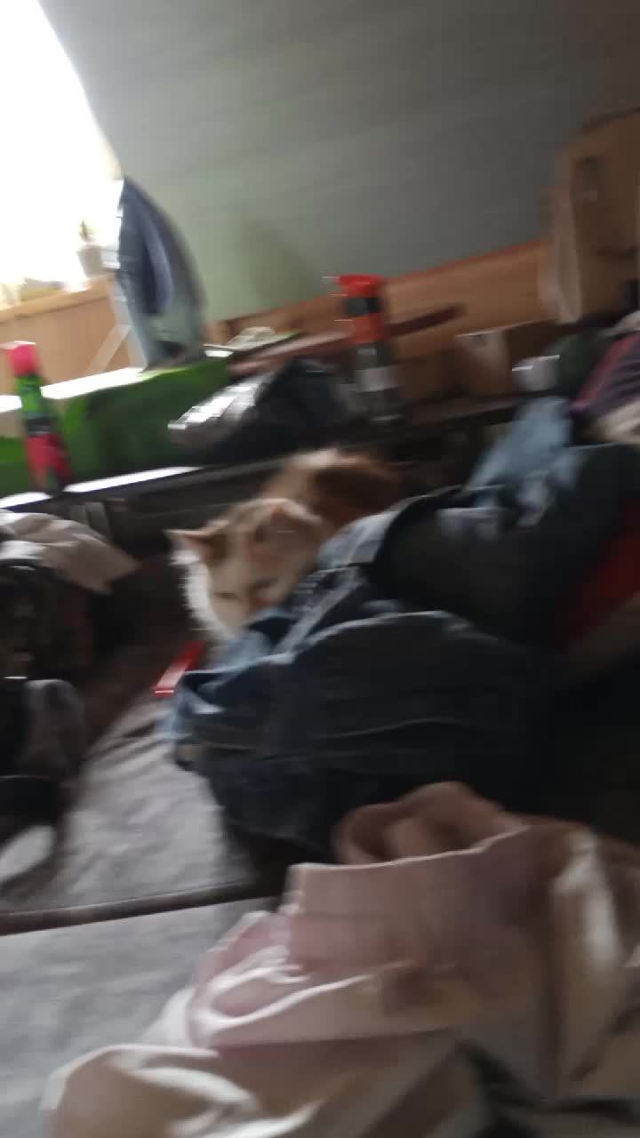 969e2906dac88e2b0da4b294b9390db2