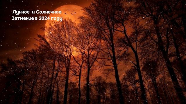 Лунное затмение 25 марта 2024 года и Солнечное затмение 8 апреля 2024 года