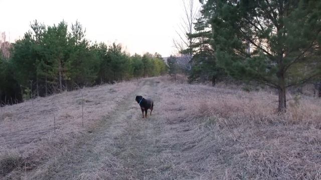 Luna, Venza And Vovan Are On Their Way To Success ???