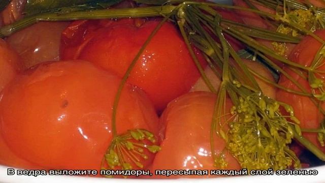 Рецепты зимних помидоров