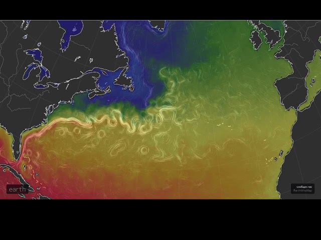 Гольфстрим 23.01.2020