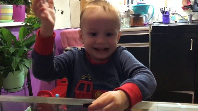 Очень горький шоколад, проверка на детях