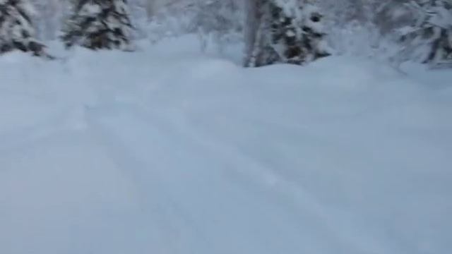 Snowmobile ride.