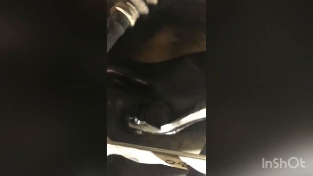 Дизайнерская Симфония Пространства