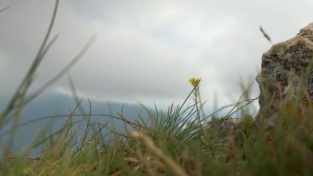 Абхазия 2022 Самые Красивые Места