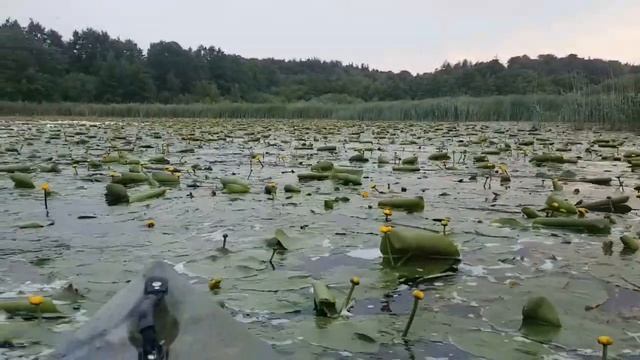 Min Første Kajaktur. Haderslev Sø. Danmark. My First Kayak Trip. Первая прогулка на каяке. Дания.