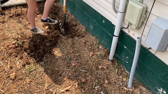 78c3dbaffeefeddedb488210b83afebe