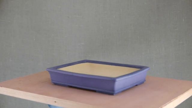 Где купить горшки для Бонсай?