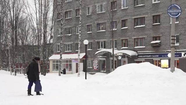 Гектар Арктики