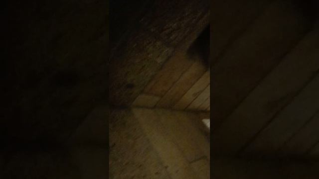 Симферополь