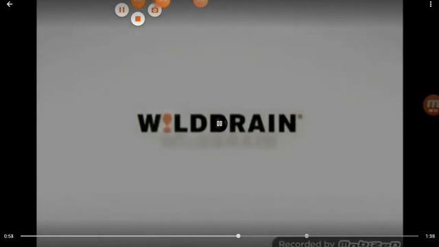 Wildbrain Logos